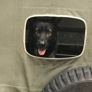 Al Pantano 1941 Willys Slat Grille MB 3