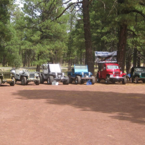 Alan St. Germain 1954 Truck 3