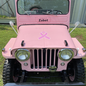 Alex Beguinet Pink Jeep 4