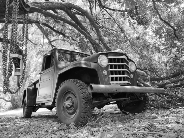 alfred parent willys truck 3