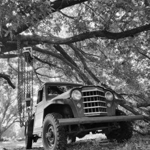 Alfred Parent WillysTruck_4