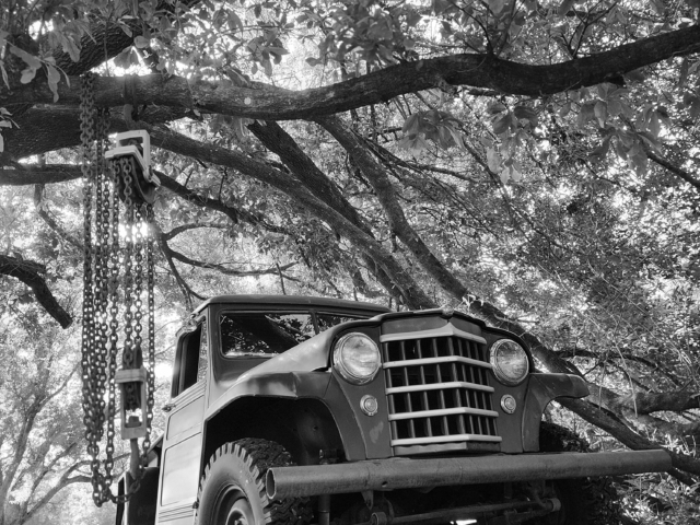 alfred parent willys truck 4