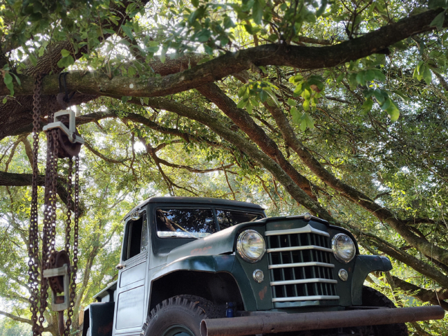 alfred parent willys truck 5