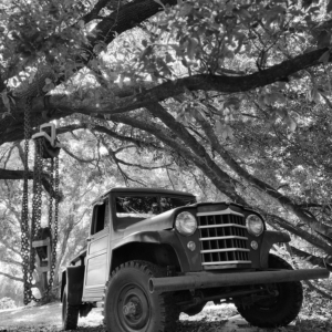 Alfred Parent WillysTruck_6