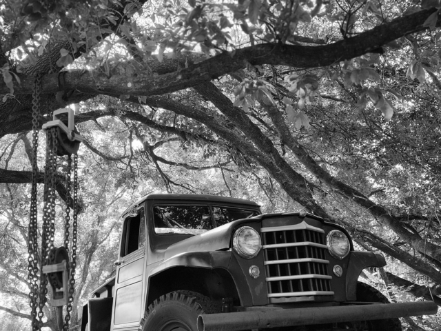 alfred parent willys truck 6