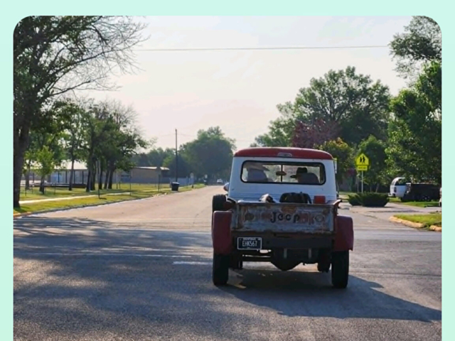 ashley campbell 1960 willys truck 1