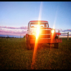 Ashley Campbell 1960 Willys Truck 2