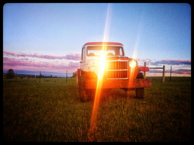 ashley campbell 1960 willys truck 2