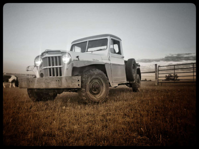 ashley campbell 1960 willys truck 3