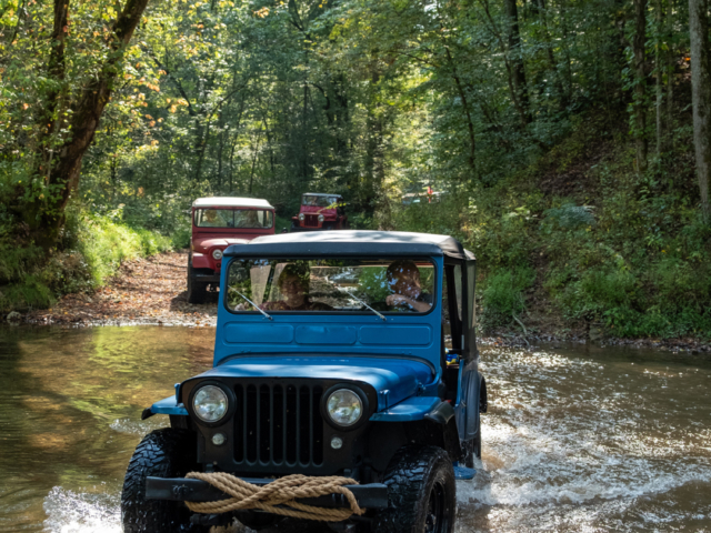 bob christy various willys 15