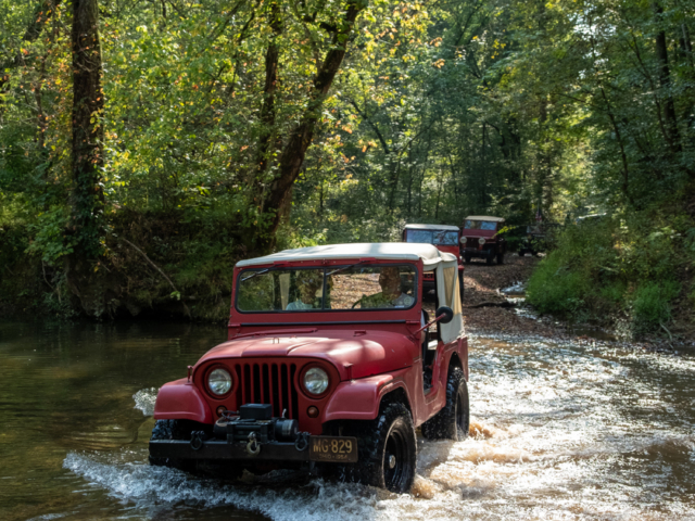 bob christy various willys 16