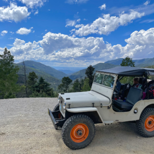 Chad Walker 1948 CJ 2A_6