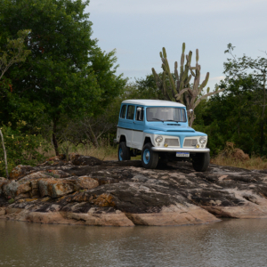 Charles Lima 1967 BrazilianWagon_2