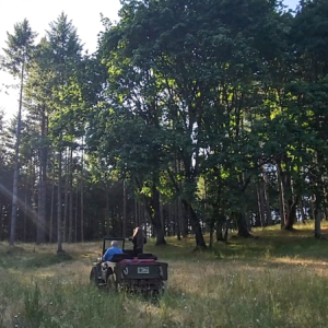 Clancy Pratt 1948 CJ 2A 3