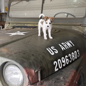 Clay Funk 1952 M38A1 3