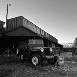 Collin Zorian 1947 CJ 2A 1