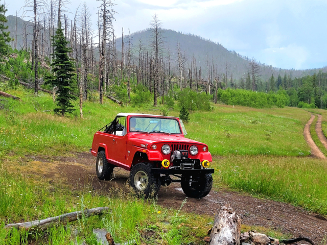 curt stechert jeepster commando 3