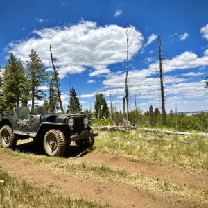 Daniel Avis 1946 CJ 2A_2