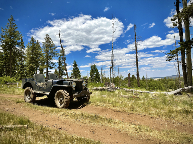 daniel avis 1946 cj-2a