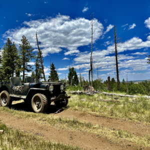 Daniel Avis 1946 CJ 2A_6