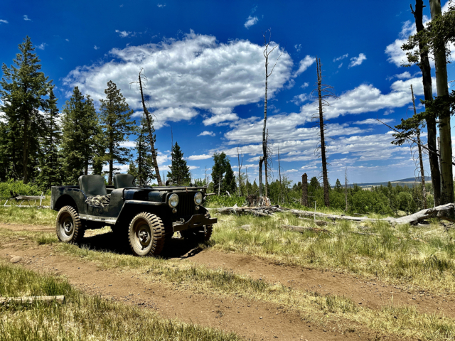 Daniel Avis WillysCJ 2A_2 daniel avis willys cj 2a 2