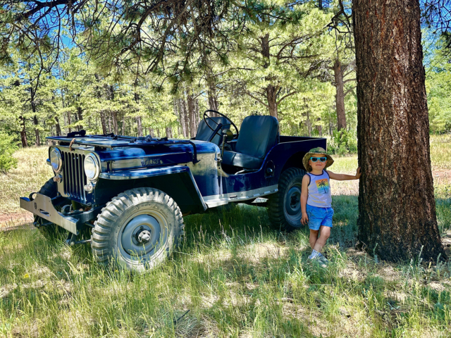 daniel avis willys cj 2a 3