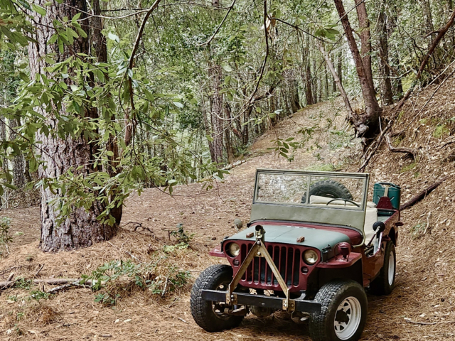 dave clark 1945 mb 3