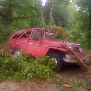 David Hastings 1956 WillysWagon_14