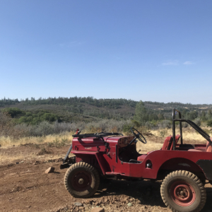 David Pfeiffer 1953 CJ 3B_2