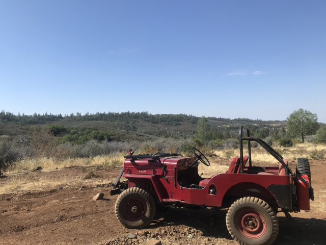 david pfeiffer 1953 cj-3b