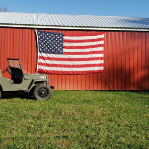 David Wheel 1946 CJ 2A