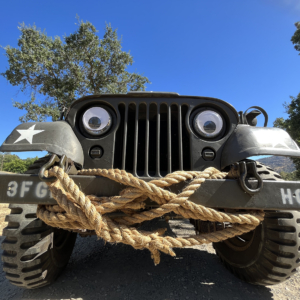 Dean Bassham 1953 WilysM38A1_1