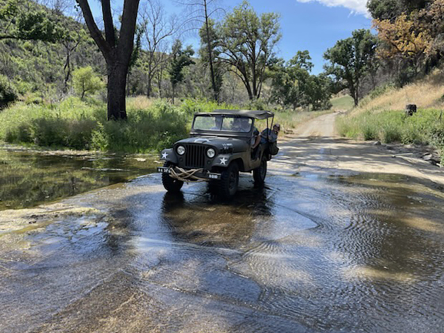 dean bassham 1953 wilysm38a1 3