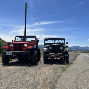 Dean Bassham 1953 WilysM38A1_5