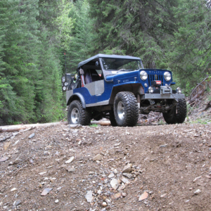 Dick Williams 1954 CJ 3B_1