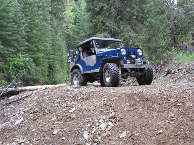 dick williams 1954 cj-3b