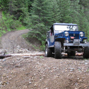 Dick Williams 1954 CJ 3B_2