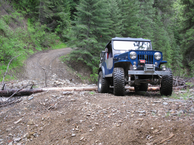 dick williams 1954 cj-3b