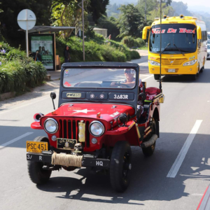 Diego Castano 1952 CJ 3A 3