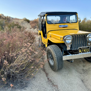 Don Simpson Willys CJ 3A_1