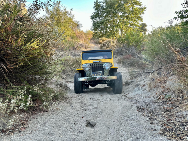don simpson willys cj-3a