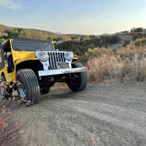 Don Simpson Willys CJ 3A_3