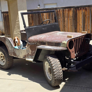 Donielle Aluisi 1948 CJ 2A_2