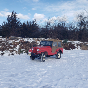 Duane Hoven 1963 CJ 5_2