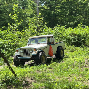 Eric Stephens 1967 JeepsterCommando_3