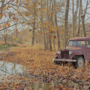 Evan Sheppard 1949 Pickup_3