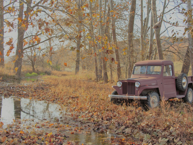 evan sheppard 1949 pickup 3