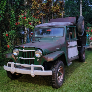 Ferdinand Cruz 1962 Truck_1