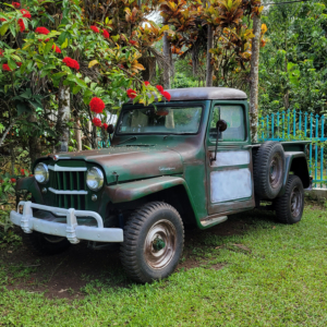 Ferdinand Cruz 1962 Truck_3