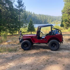 Gavin Stirtz 1951 CJ 3A_3